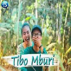 Download Lagu Ndarboy Genk - Tibo Mburi Mp3 Laguindo